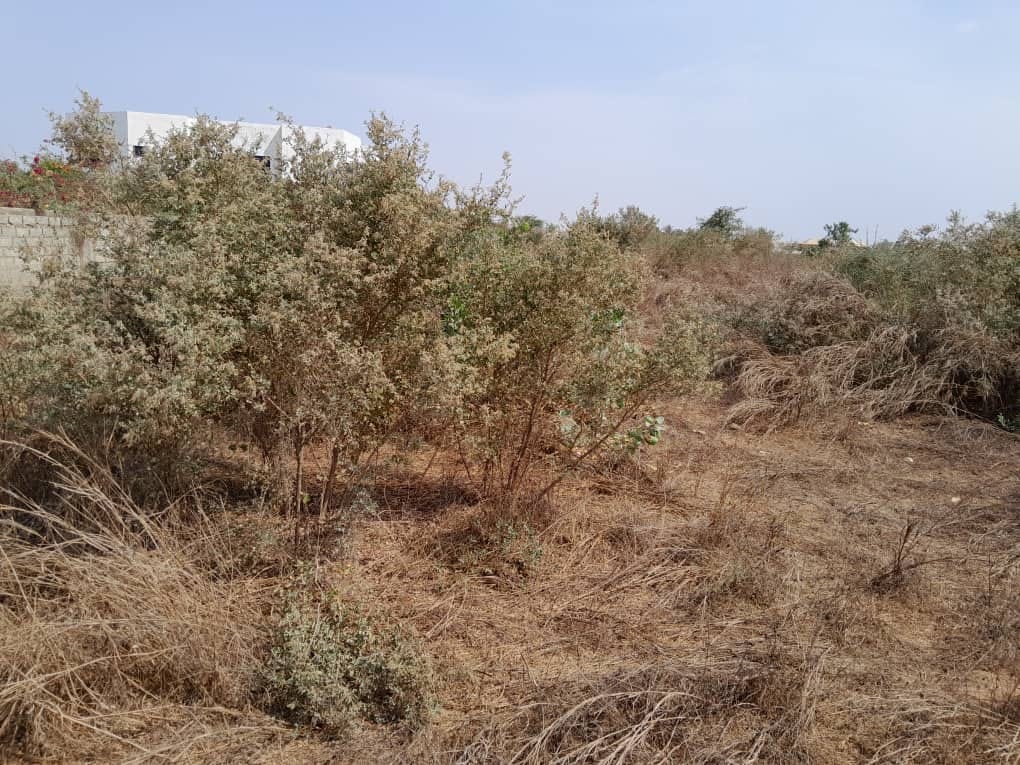 459140879_10233617585997703_7119236633760386348_n