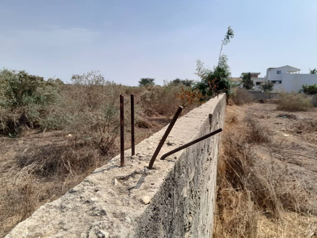 459178240_10233617586797723_679401506173080934_n