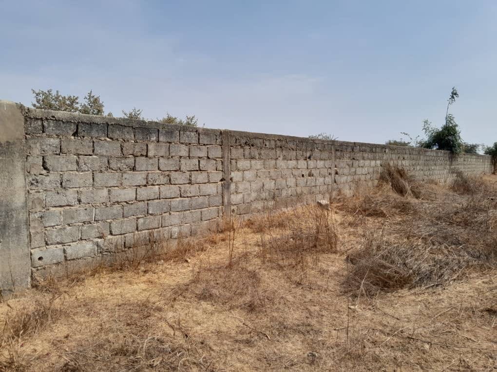 459321454_10233617588197758_2876017014288721813_n