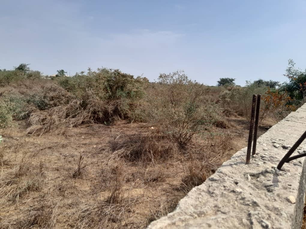 459417714_10233617584677670_8141912552293021392_n