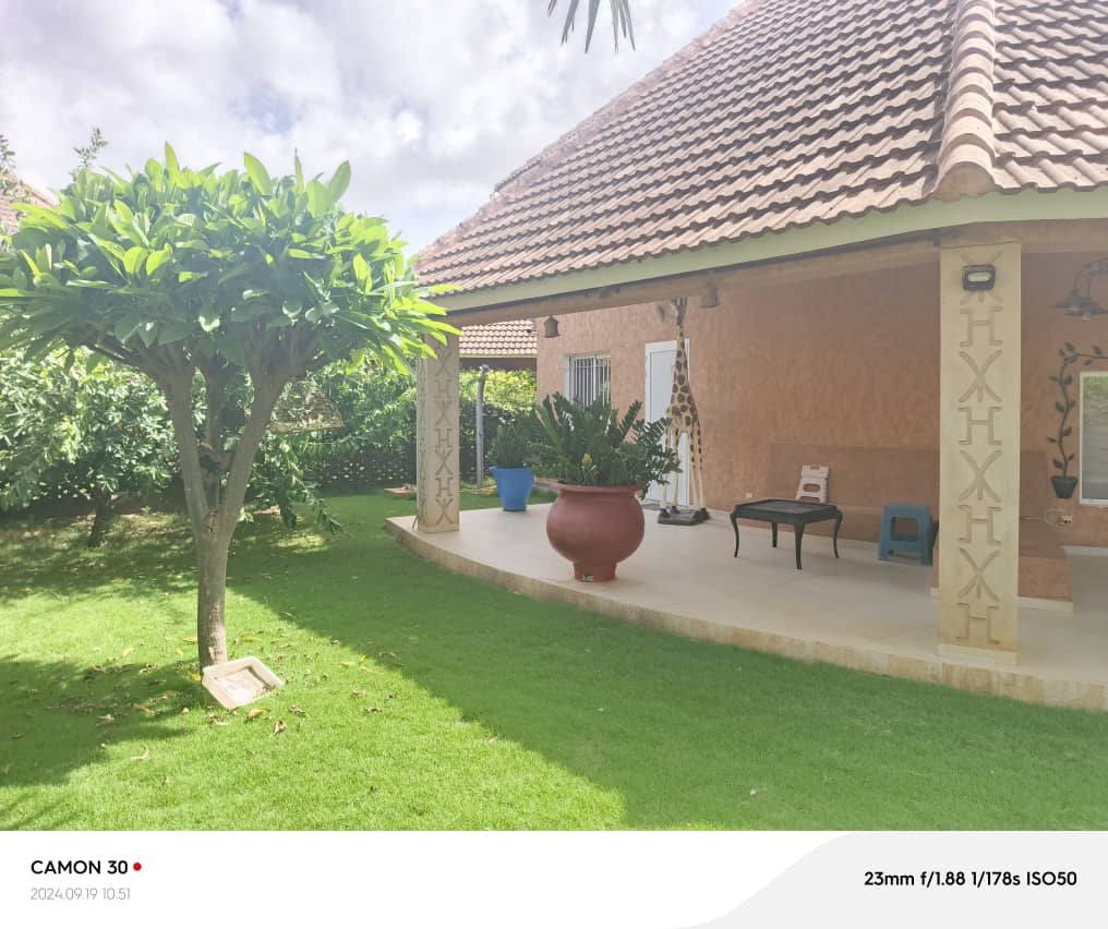 460810827_10233726822928558_655583948770103056_n