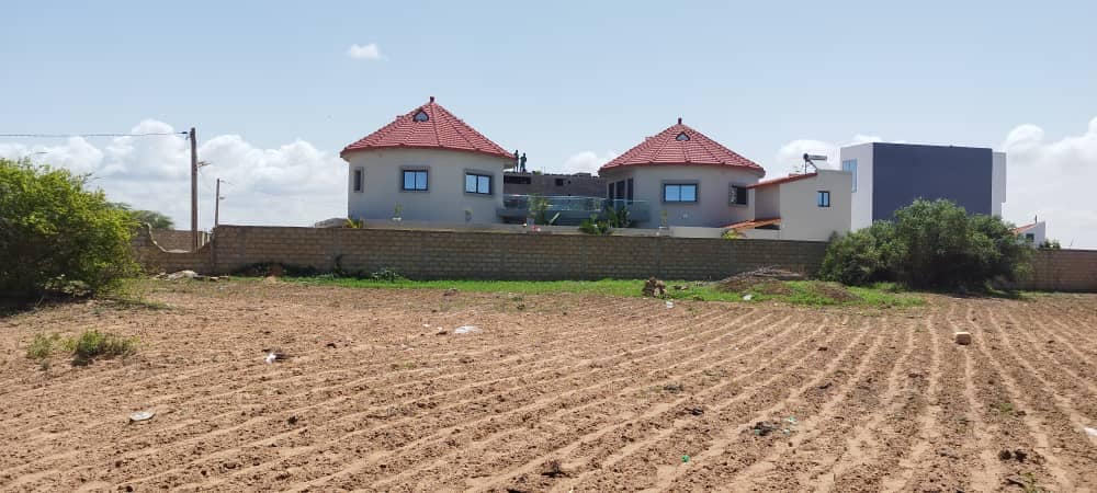 461327932_1154194549625711_8377586589150687050_n