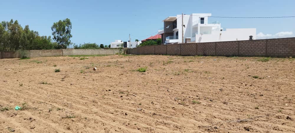 461338086_1154194626292370_3693600790443211766_n