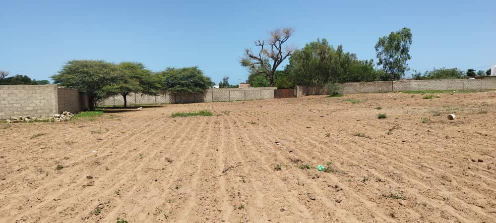 461432815_1154194752959024_2284567805668508089_n