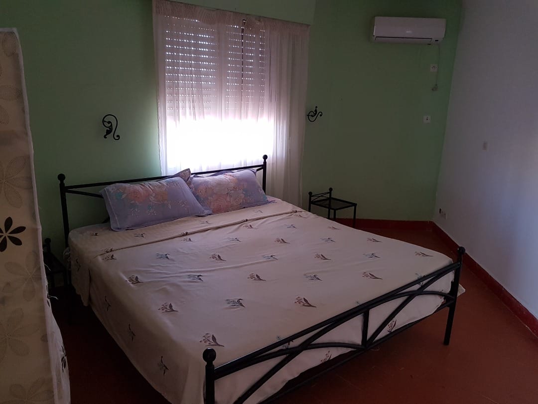 462226049_1164487165263116_4074705205232553101_n