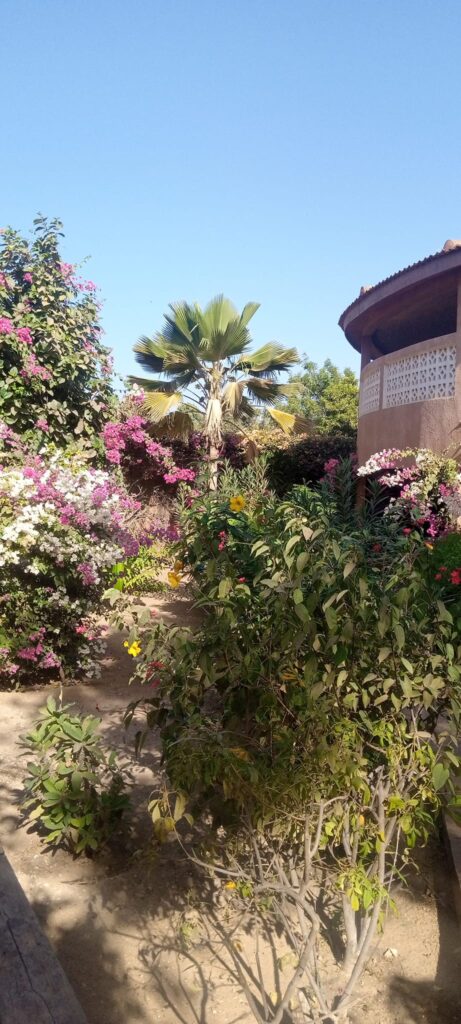 462367277_1165365788508587_2829487492763024188_n