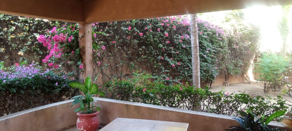 462534160_1165367718508394_2359434230710203769_n