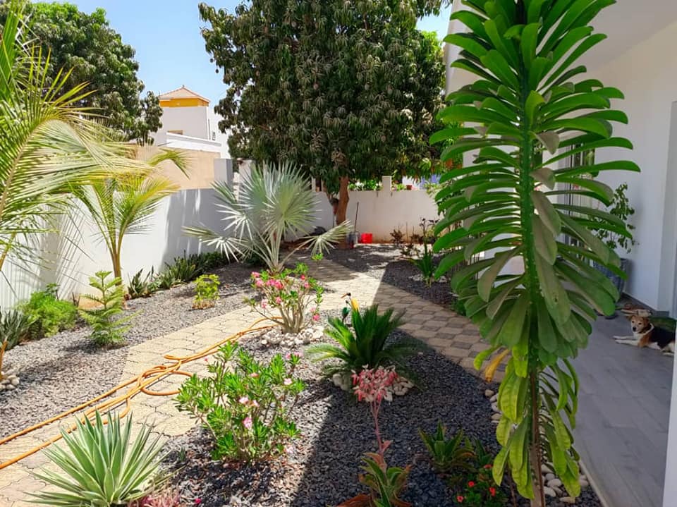 462632208_1167233434988489_8465460665008680421_n