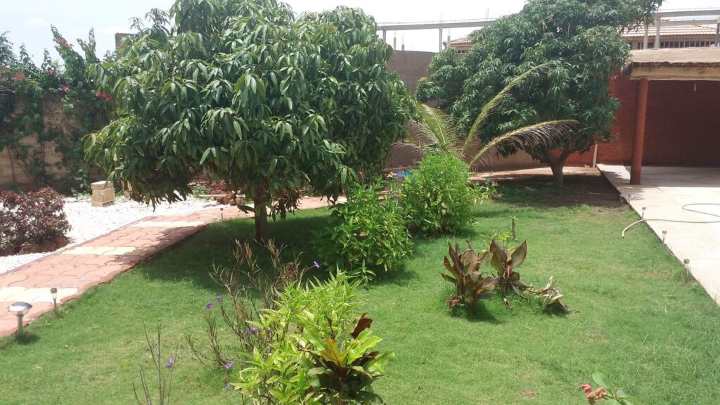 465448868_1185320209846478_6787789185632919043_n