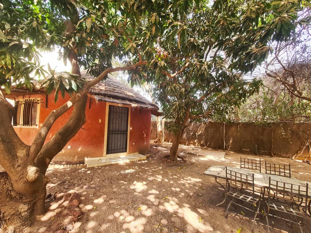 466512765_1196334165411749_7490479431635236623_n