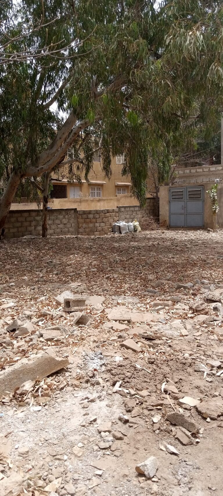 466588313_1195562125488953_2557088354500985711_n