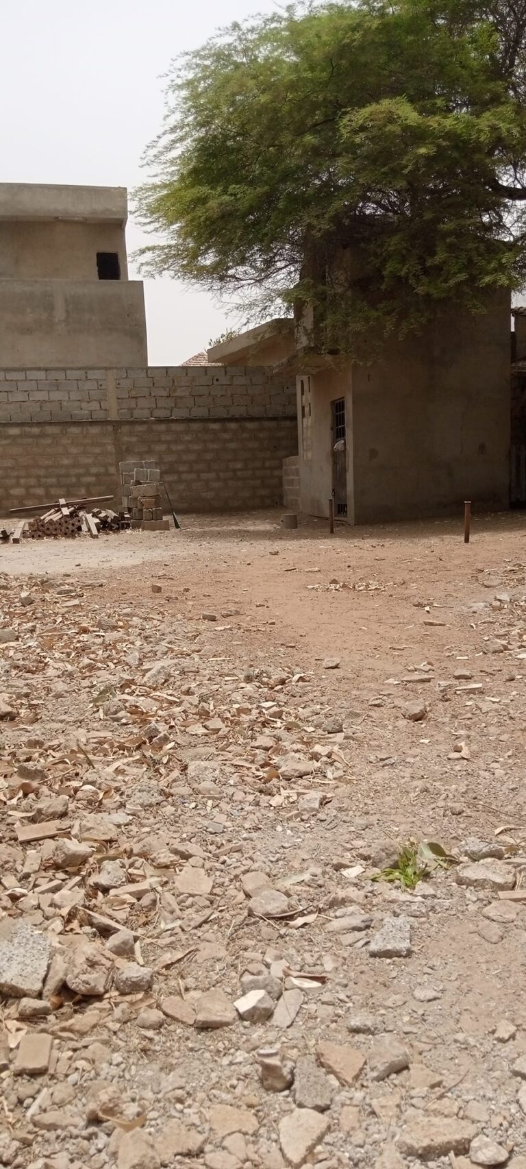 466666041_1195562268822272_4214895030446618185_n