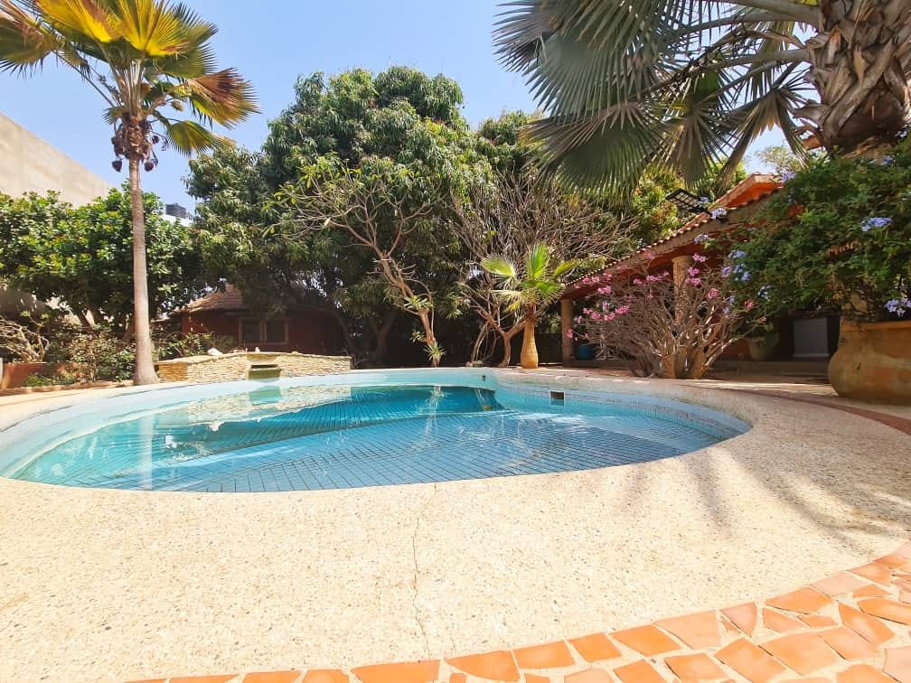 466674225_1196333828745116_2048787287539415457_n