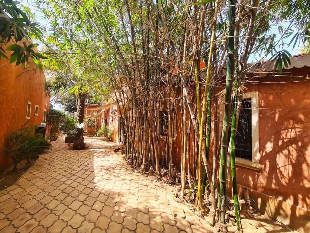 466969257_1196334028745096_8233661659513821534_n