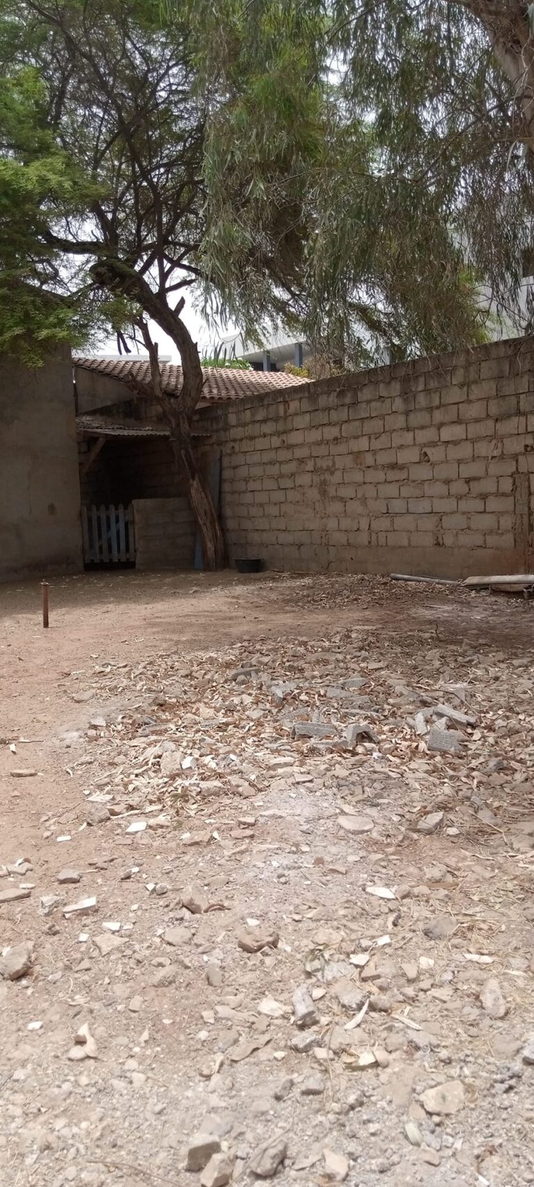 467123640_1195561982155634_2663882204467756964_n