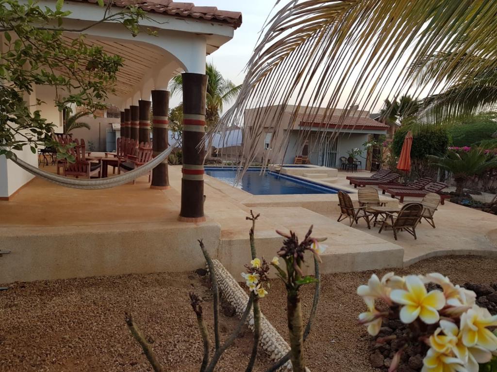 336ed526-e623-4ebd-a9f1-25a2106151aa