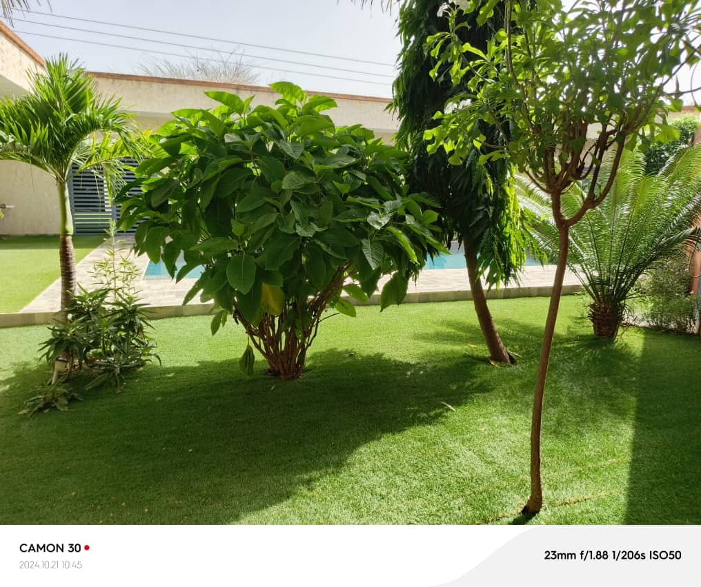 467225764_1197902891921543_230185426922038197_n