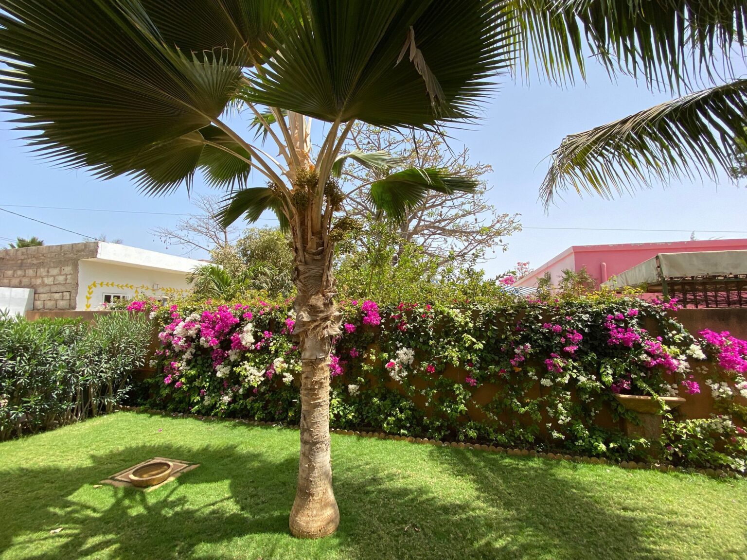 468144095_1203422178036281_5890566057472462431_n