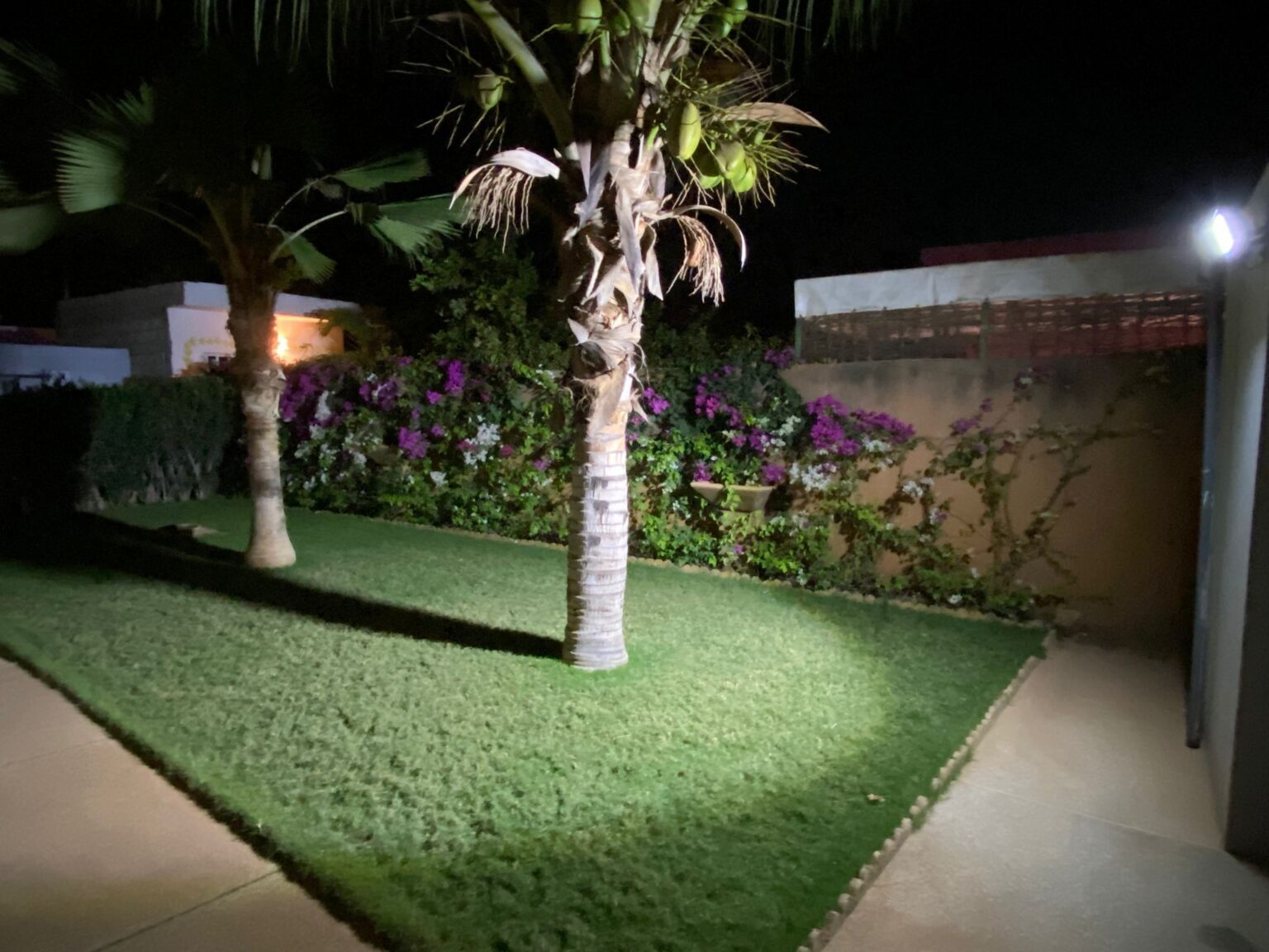 468509299_1203422021369630_1658339802452217400_n