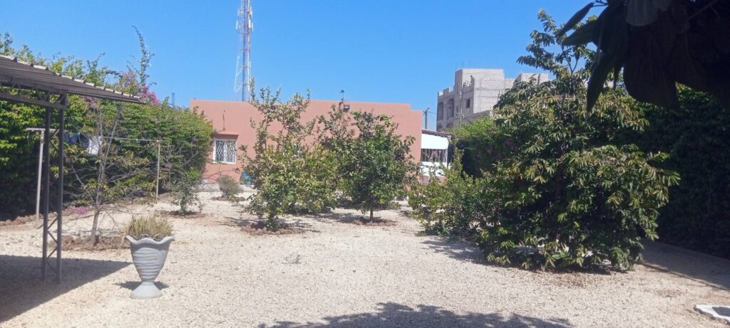 468563587_1204982971213535_4018339045176661883_n