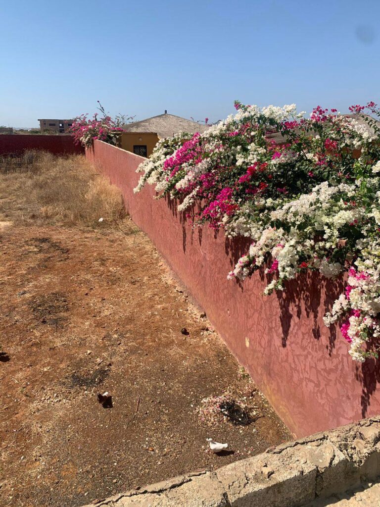 469899715_1215214466857052_1292760723239579937_n