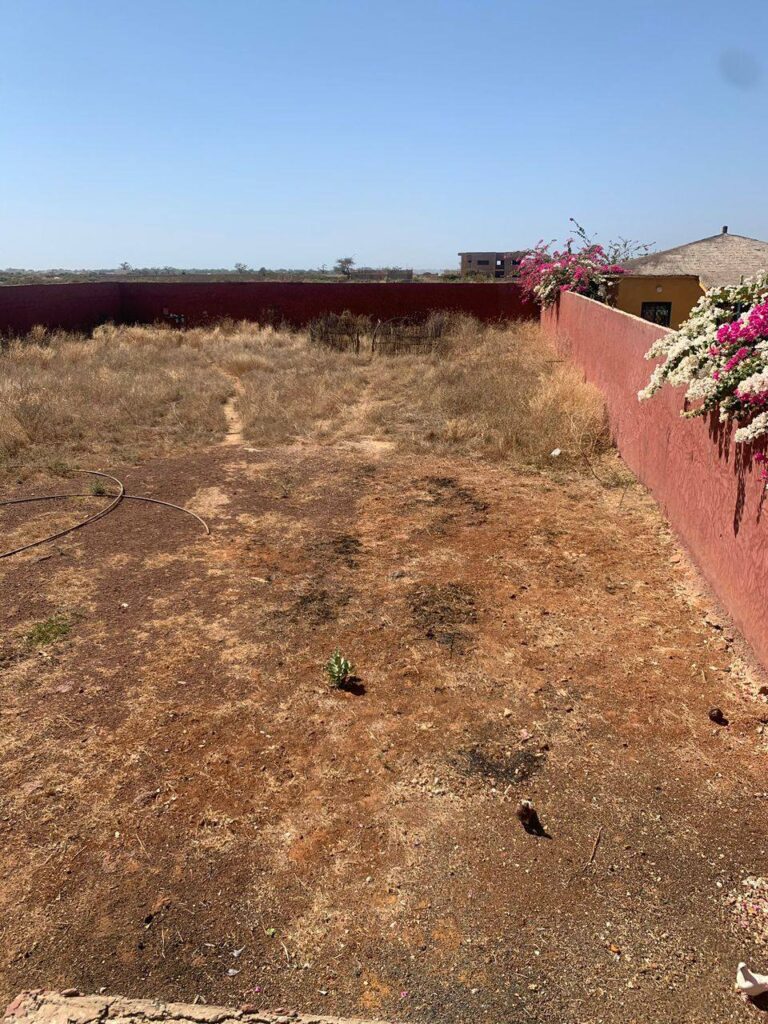 469917066_1215214413523724_8741054285035114303_n