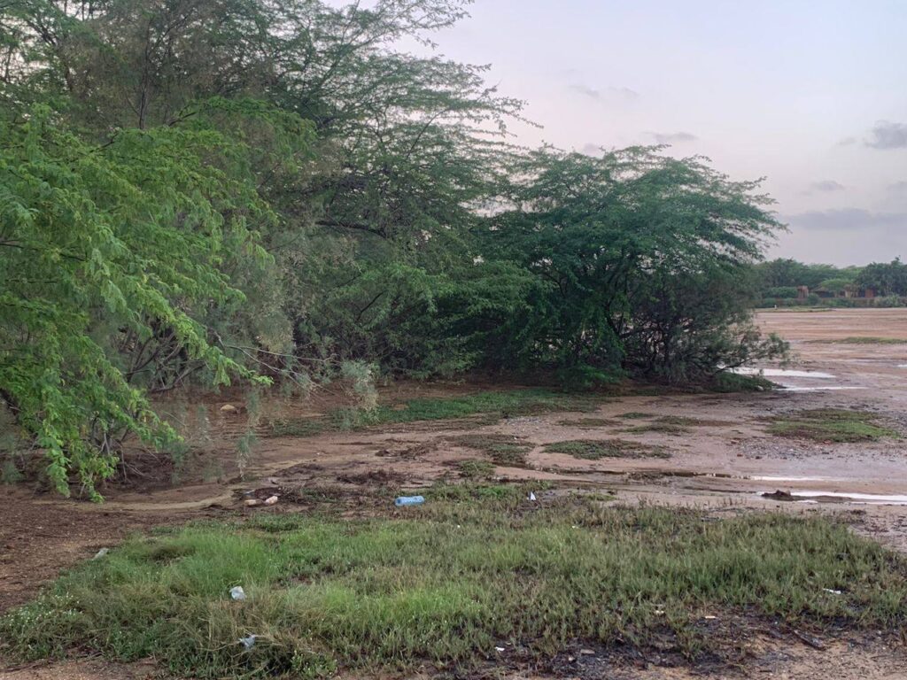 470535566_1221481312897034_3731530583015112579_n