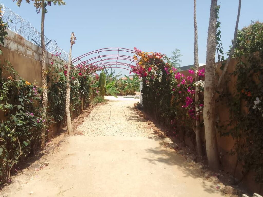 470603592_1219885553056610_3143811699447080957_n