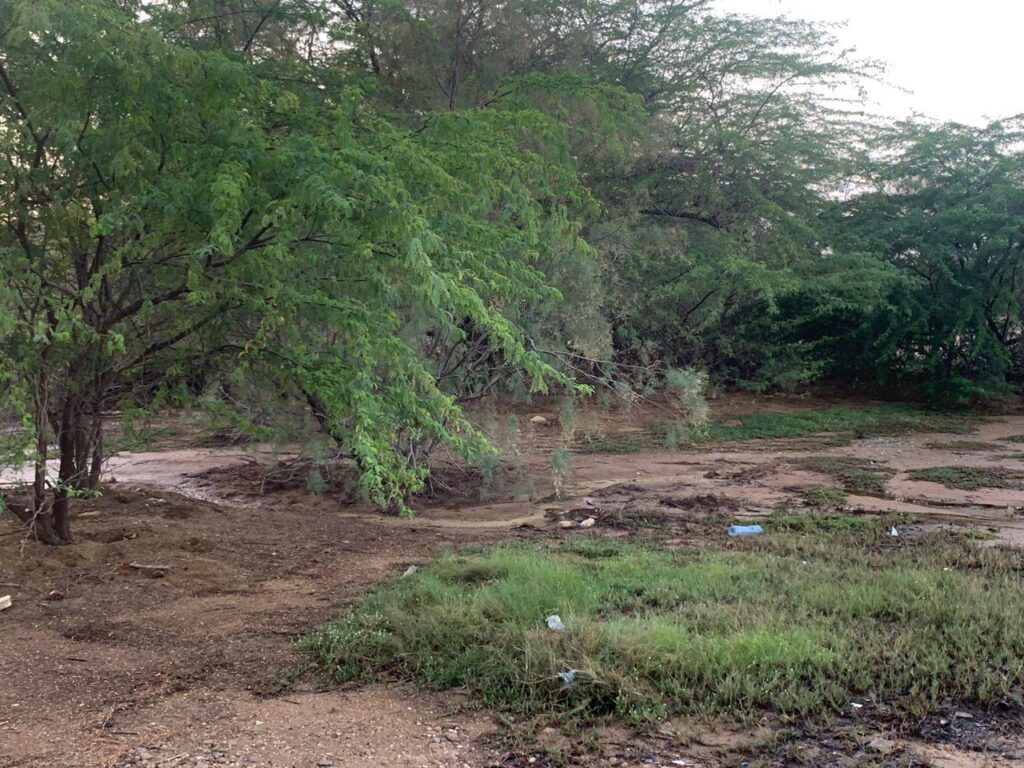 470869383_1221481232897042_7893358083358718551_n