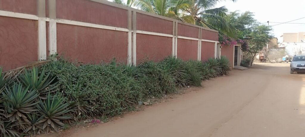 475105199_1251003533278145_2338804734991139047_n