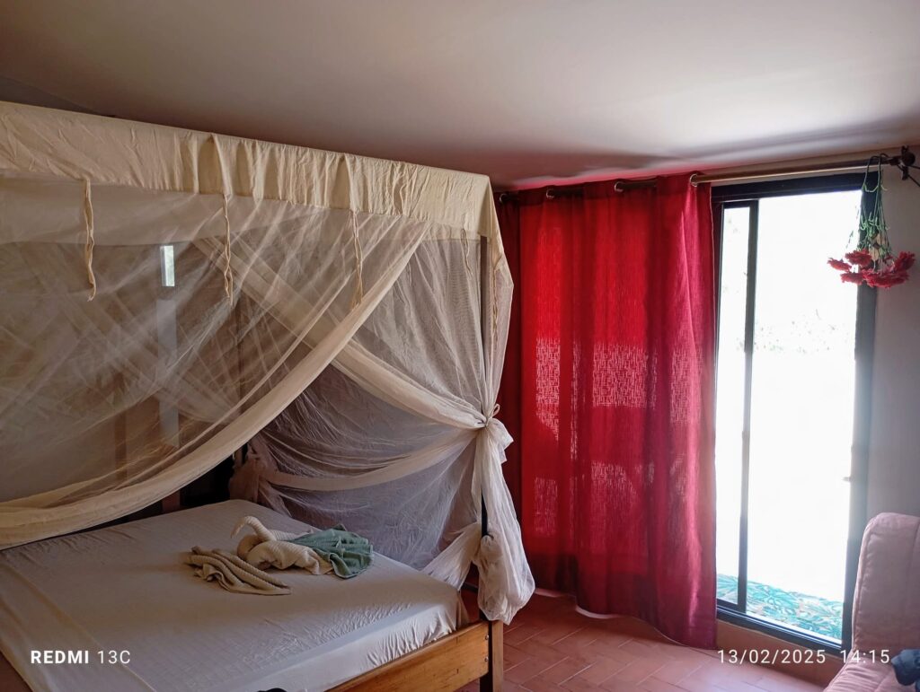 480179114_1270007604711071_3900563372338074035_n