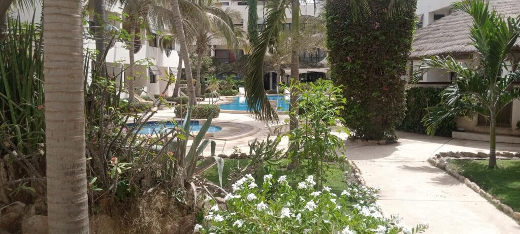 480530692_1270004868044678_5278330795003562868_n