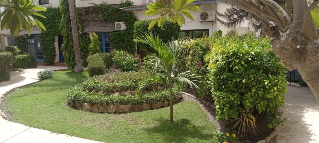 480674849_1270004081378090_4703109792737678385_n