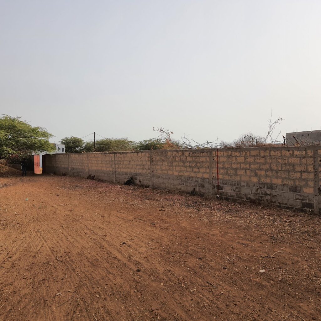 480793812_1275823537462811_6869465075560574146_n