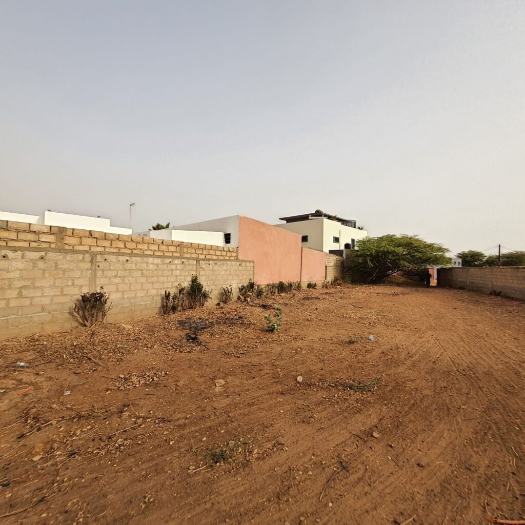 480828321_1275823350796163_9083480623722377248_n (1)