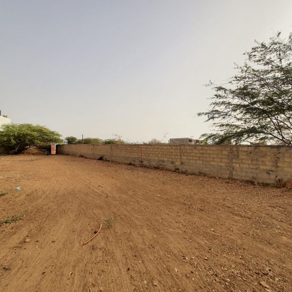 481021948_1275823567462808_8823250794433978028_n