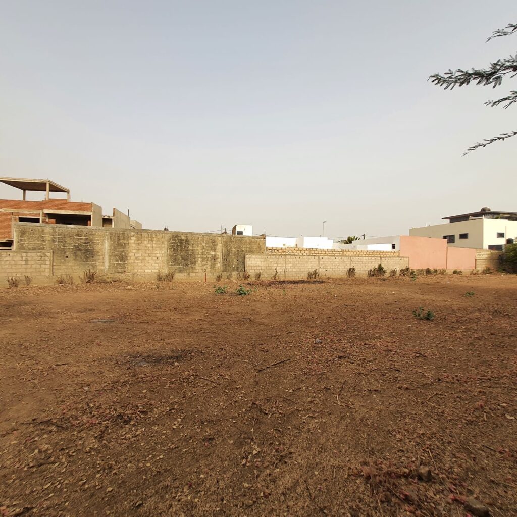 481070609_1275823770796121_7135074695279018095_n