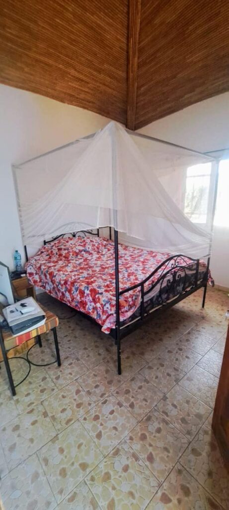 484849402_1295311215514043_3407325558686306554_n