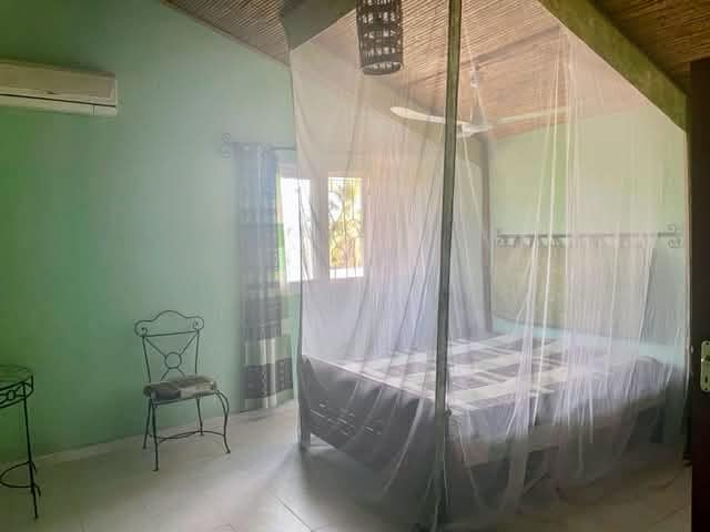 487481747_1308497054195459_5067384752519519193_n