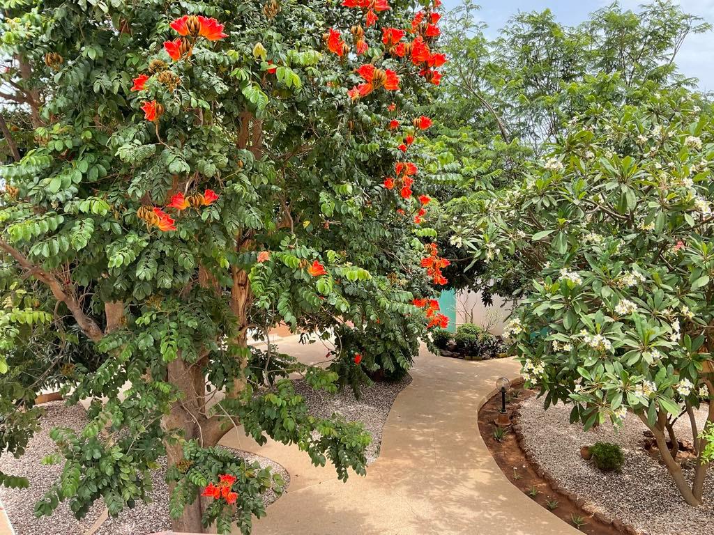 WhatsApp Image 2025-04-26 at 11.34.19 (2)