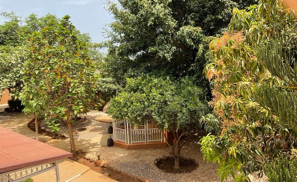 WhatsApp Image 2025-04-26 at 11.34.19 (3)