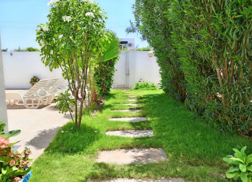 496254547_1340366901008474_7483156245665262105_n