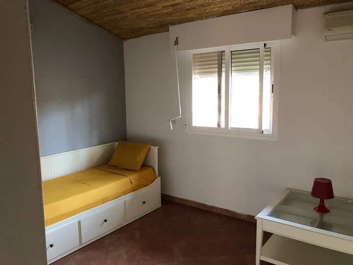 498621297_1352022736509557_4681267422878137757_n