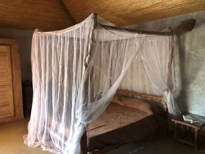 498917944_1352022843176213_5747800058315863491_n