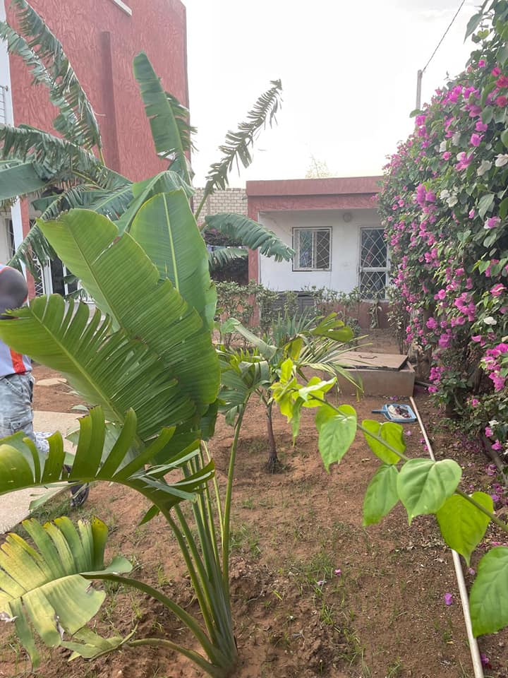 505005014_1370446038000560_822133187419672969_n