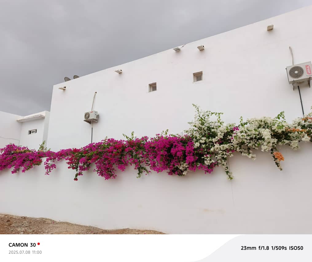 WhatsApp Image 2025-07-16 at 14.01.25 (1)