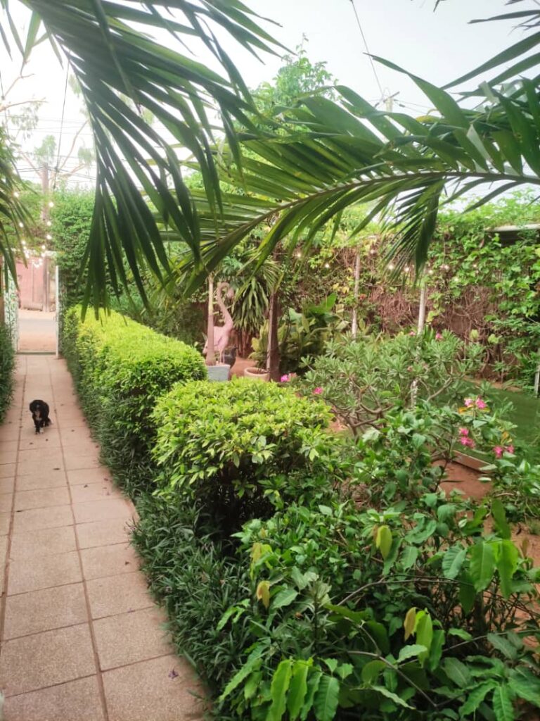 WhatsApp Image 2025-10-26 at 11.52.41 (2)