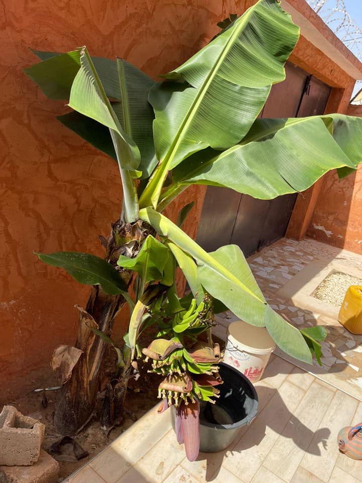 580054468_1509441010767728_8907305421615773091_n