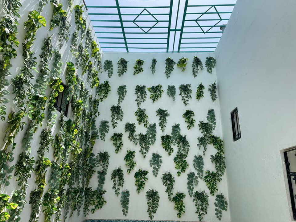 582218020_1509440940767735_5588240390279634504_n