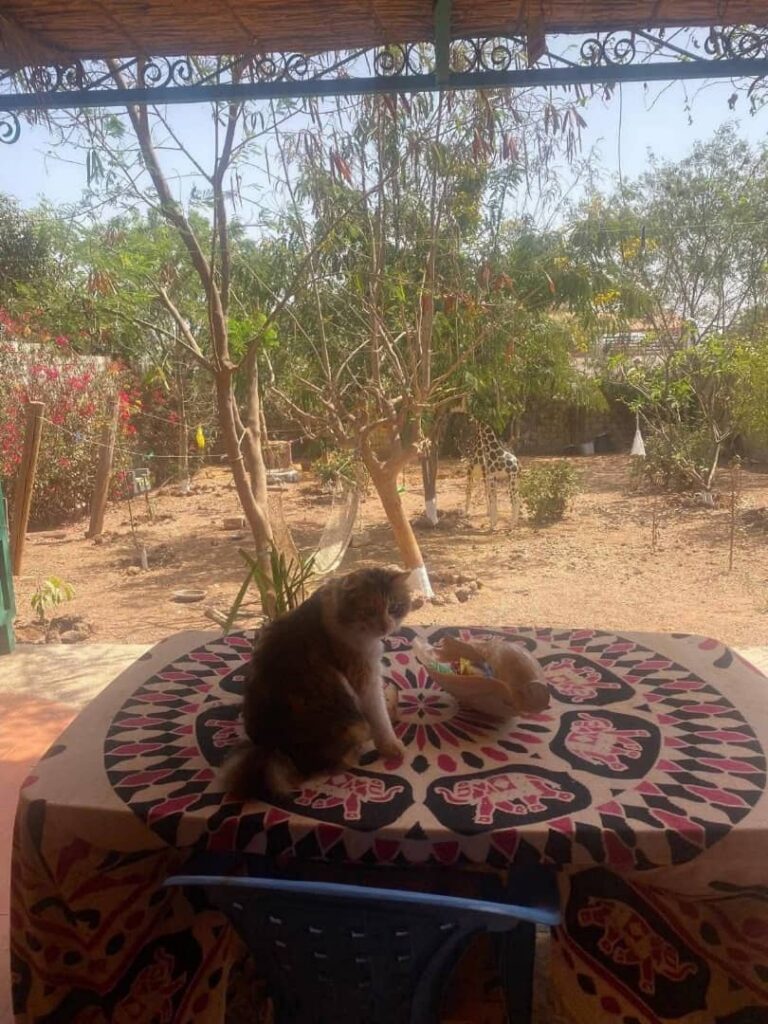 WhatsApp Image 2026-01-27 at 19.22.24 (1)